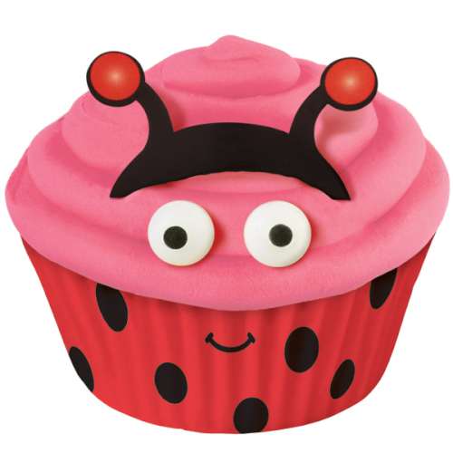 Ladybird Cupcake Decorating Kit - Click Image to Close